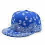 Baseball Cap Hats Fashion Paisley Flat-Brimmed Cap Hip Hop Men's Women's Hip Hop Flat-Top Cap Performance Casual Hat