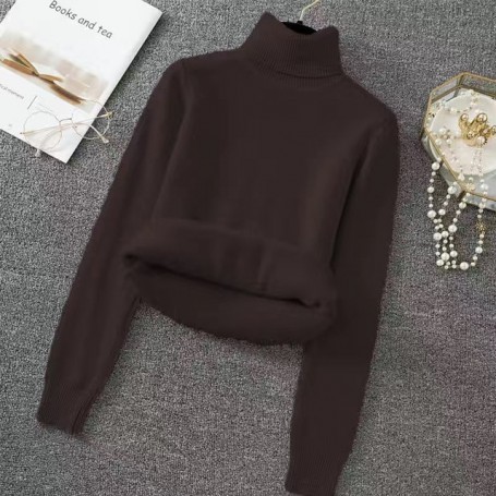 Warmer Plus Velvet Turtleneck Sweaters Women Korean Casual Slim Bottoming Tops Thicken Solid Knitted Pullover