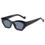 Women Sunglasses Eyewear Trends Leopard Eyeglasses Frame 6 Colors Plastic Material Gafas De Sol Outdoor Driving