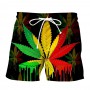 Leaves 3D Printing Men Women Holiday Beach Shorts Funny Green grass Board Shorts Cool Swimming Trunks Size S-6XL