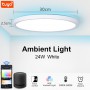 0.98inch Smart RGB Ceiling lamp APP Alexa Control Ultrathin Dimmable 110/220V LED Ceiling light Home decor Lights for Livingroom