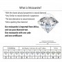 Round Brilliant Cut 1 Carat Diamond Test Past D Color Princess Moissanite Earrings Silver 925 Original Big Gemstone Earrings