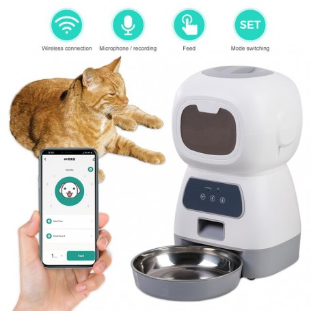 Cat bowl timer best sale