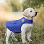 Waterproof Double-sided Cotton Vest Dog Autumn Winter Thicken Warm Jacket for Puppy Large Dog Coat Pet Clothes