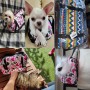 Pet Carrier For Small Dog Cozy Soft Puppy Cat Dog Shoulder Bags Backpack Outdoor Travel Pet Sling Bag Chihuahua Pug Pet Supplies