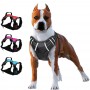 Adjustbale Matching Leash Collar Reflective Pet Training Supplies Nylon Big Dog Harness No Pull Medium Large Dog Harness Vest