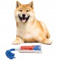 1pcs Bite Resistant Squeeze Sound Pet Dog Chew Toys for Puppy Dog toothpaste Toy Playing Dogs Washable Dogs Cleaning Teeth Toys