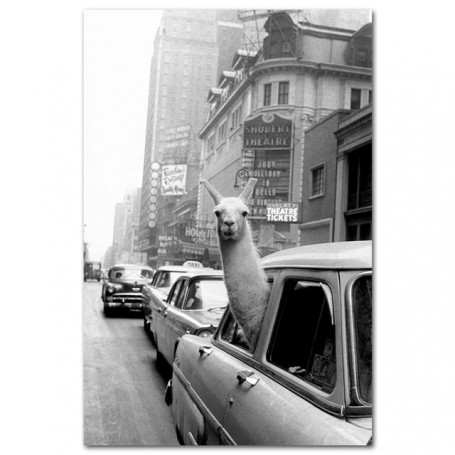 Black and White Travel Landcape Posters Alpaca Giraffe In A Texi Canvas Painting New York Street Photography Pictures Home Decor