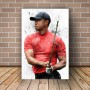 Golf Art Graffiti Tiger Posters Prints Canvas Sports Art Portrait Painting Wall Decoration Cuadros for Living Room Home Decor