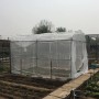 Garden Vegetable Insect Protection Net Plant Flower Fruit Care Cover Network Greenhouse Pest Control Anti-bird Mesh Net
