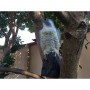 Fake Realistic Bird Scarer Plastic Eagle Falcon Decoy Scarecrow for Garden Yard Bird Repellent Outdoor Pest Control
