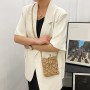 Mini Fashion Woven Straw Crossbody Bags Hollow Rattan Women Shoulder Bags