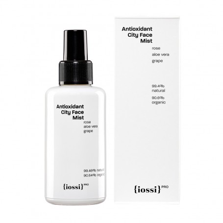 Antioxidant City Face Mist antyoksydacyjna miejska mgiełka do t