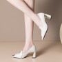 Pointed Toe High Heels Shoes Women