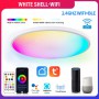 Smart Wifi LED Ceiling Lights RGBCW Dimmable TUYA APP Compatible with Alexa Google Home Bedroom Living Room Ambient Light