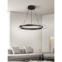Modern Ring LED Chandelier Simple Living Room Restaurant Bedroom Kitchen Bar Hall White Black Indoor Decor Lighting Hanging Lamp