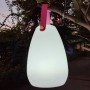 Outdoor Indoor Waterproof Light Up Portable LED Decorative Table Garden Lamps Events Camping Mood Lights with Remote Control