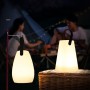 Outdoor Indoor Waterproof Light Up Portable LED Decorative Table Garden Lamps Events Camping Mood Lights with Remote Control