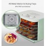 BioloMix 5 Metal Trays Food Dehydrator Fruits Dryer with Brewing Function Digital LED Display For Jerky, Herbs, Meat,Vegetable