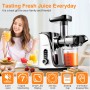AMZCHEF Slow Masticating Juicer GM3001 Cold Press Juicer with 2 Speed for Soft/Hard Mode LED Display, 2 Travel bottles(500ML)