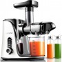 AMZCHEF Slow Masticating Juicer GM3001 Cold Press Juicer with 2 Speed for Soft/Hard Mode LED Display, 2 Travel bottles(500ML)