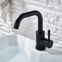Black Basin Faucet Single Cold and Hot Bathroom Sink Tap Short Kitchen Mixer Can Rotatable
