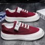 Ice Silk Cloth Men Canvas Shoes 2022 New Hot Sale Breathable Comfortable Fashion Simple Outdoor Footwear Mens Vulcanized Shoes