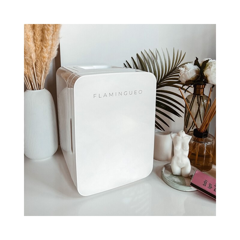 Flamingueo Mini Fridge 10L Makeup Fridge 12V/220V Cooler and Warmer