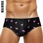 Men's Swimming Trunks Sexy Low Waist Swimwear Beach Swimsuit For Surfing Male Quick Dry Breathable Plus Size