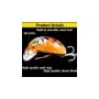 1Pc 38mm/4.1g Fishing Tackle Cicada Bait Fishing Lure Insect Bug Lure Sea Beetle Crank Floating Wobblers For Bass Carp Fishing