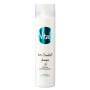 Vital Anti-Dandruff Shampoo szampon przeciwłupieżowy 250ml