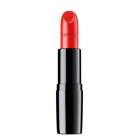 Perfect Color Lipstick pomadka do ust 801 4g