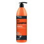 Prosalon Argan Oil Shampoo szampon do włosów z olejkiem argano