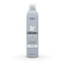 Kitoko Arte Style Extend Dry Shampoo suchy szampon do włosów 3