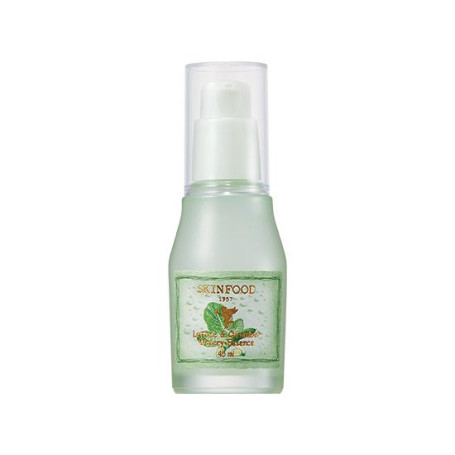Lettuce & Cucumber Watery Essence nawadniające serum do twarzy 