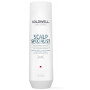 Dualsenses Scalp Specialist Anti-Dandruff Shampoo szampon przeci