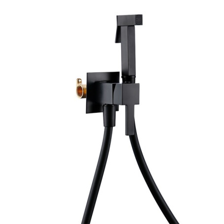 Bagnolux Mate Black  Toilet Hand Held Bidet Sprayer Kit with Hose and Holder Wall Mounted Hot & Cold Mixed Type Bathroom Faucet
