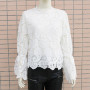 New Elegant Embroidery Hollow Out Lace Blouse Shirt Women Sexy Petal Long Sleeve Pullover Tops Ladies 2021 Autumn Stand Collar