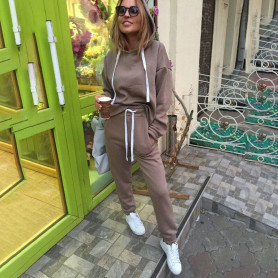 Two Piece women's Solid Hoodie + Trousers Autumn New Fashion Casual Suit Wool And Loose Pants Warm Suit Two Piece women's Solid Hoodie + Trousers Autumn New Fashion Casual Suit Wool And Loose Pants Warm Suit