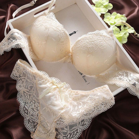 Ladies Lingerie Set Bras Cup Sexy Lace Bra & Brief Sets Transparent Women Underwear Black Embroidery Bow