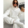 Women 2 Piece Set Sweatshirt Suit Solid Long Sleeve Hooded Top Elastic Waist Pant Tracksuit