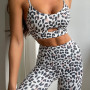Women Sexy Leopard Print Workout Tights Set Sports Bra Trousers Gym 2 Piece Set  Autumn Fashion Plus Size Seamless Leggings