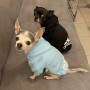 Dog Clothes Hoodies Fleece Sweatshirt Jacket Clothing Pet Costume For Small Medium Large