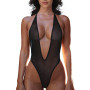 Perspective Micro One Piece Lingerie Deep V See Through Swimwear