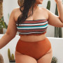Striped Plus Size Women's 2 Pieces Bikini Swimsuit