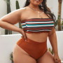 Striped Plus Size Women's 2 Pieces Bikini Swimsuit