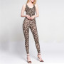 Ladies Sexy Printed Leopard Jumpsuits High Quality Elastic Skinny Fitness Jumpsuit Back Bandage Hollow Out Rompers For Female