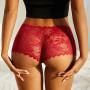 Sexy Mesh Lace Briefs for Women Low Rise Hollow Out Underwear Intimates Lingerie See-Through Panties