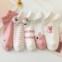 5pair/lot Cute Cartoon Harajuku Cat Socks for Women Funny Spring Cat Low Cut Short Kawaii Women Socks