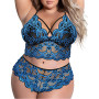 Plus Size Bra 2 Pieces Sets Sexy Lingerie Women Lace Embroidery Bra & Brief Sets Underwear